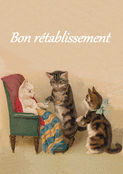 Chats r&eacute;confortants pour des jours meilleurs